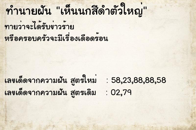 ทำนายฝัน เห็นนกสีดำตัวใหญ่ ทำนายฝัน เห็นนกสีดำตัวใหญ่