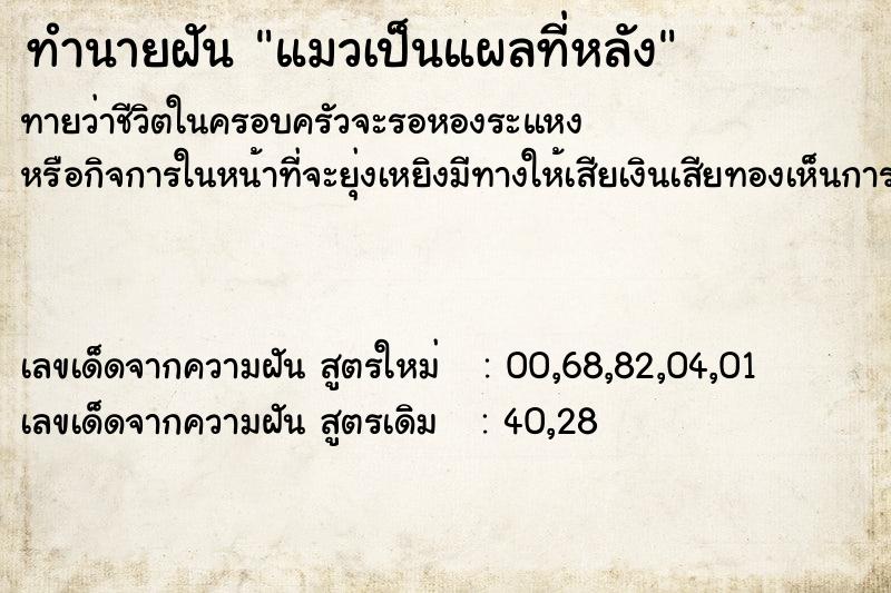ทำนายฝันทำนายฝันแมวเป็นแผลที่หลัง
