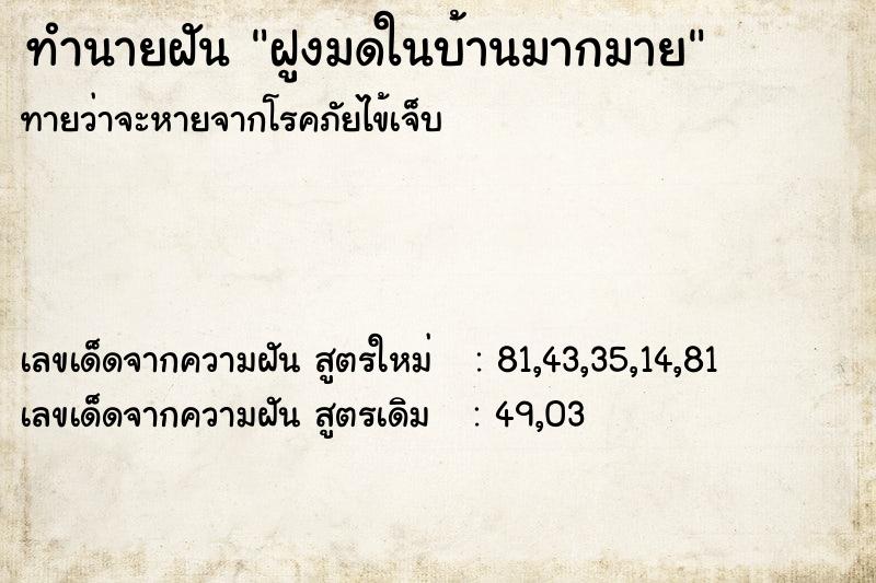 ทำนายฝันทำนายฝันฝูงมดในบ้านมากมาย