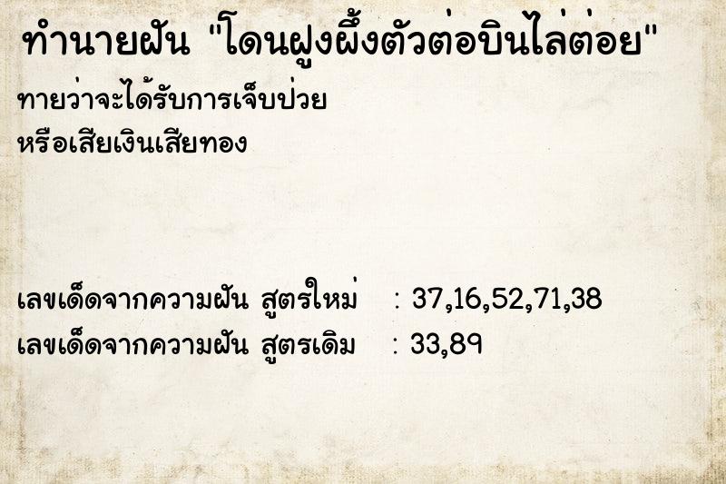 ทำนายฝันโดนฝูงผึ้งตัวต่อบินไล่ต่อย ทำนายฝันทำนายฝันโดนฝูงผึ้งตัวต่อบินไล่ต่อย