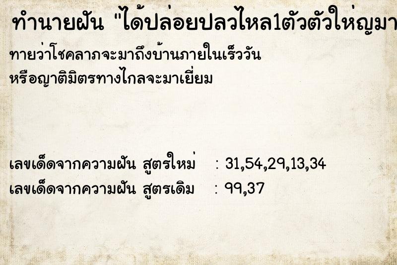 ทำนายฝันได้ปล่อยปลวไหล1ตัวตัวให่ญมาก ทำนายฝันทำนายฝันได้ปล่อยปลวไหล1ตัวตัวให่ญมาก