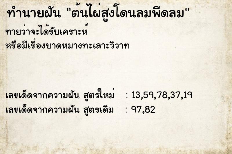 ทำนายฝันทำนายฝันต้นไผ่สูงโดนลมพีดลม