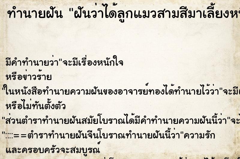 ทำนายฝัน ฝันว่าได้ลูกแมวสามสีมาเลี้ยงหนึ่งตัว ทำนายฝัน ฝันว่าได้ลูกแมวสามสีมาเลี้ยงหนึ่งตัว