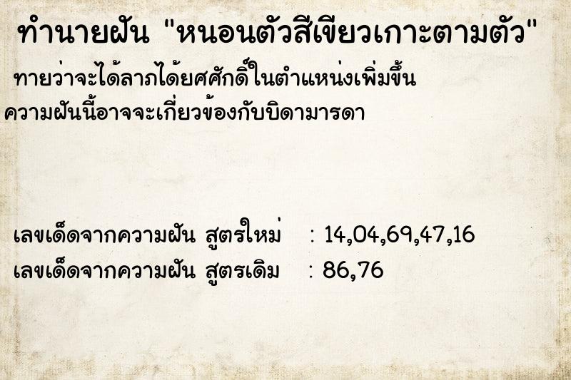 ทำนายฝันหนอนตัวสีเขียวเกาะตามตัว ทำนายฝันทำนายฝันหนอนตัวสีเขียวเกาะตามตัว