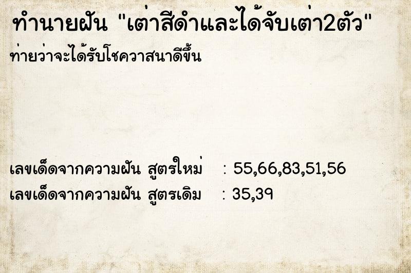 ทำนายฝันเต่าสีดำและได้จับเต่า2ตัว ทำนายฝันทำนายฝันเต่าสีดำและได้จับเต่า2ตัว