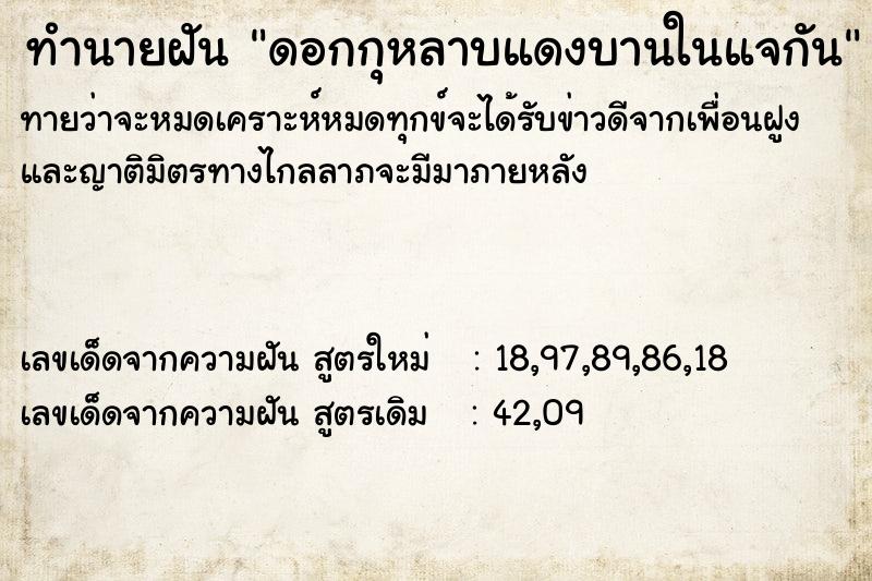 ทำนายฝันดอกกุหลาบแดงบานในแจกัน ทำนายฝันทำนายฝันดอกกุหลาบแดงบานในแจกัน