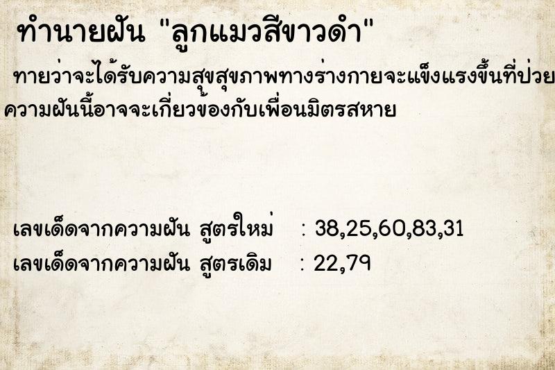 ทำนายฝัน ลูกแมวสีขาวดำ ทำนายฝัน ลูกแมวสีขาวดำ