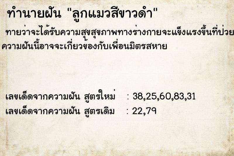 ทำนายฝัน ลูกแมวสีขาวดำ ตำราโบราณ แม่นที่สุดในโลก