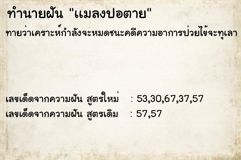 ทำนายฝันเเมลงปอตาย ทำนายฝันทำนายฝันเเมลงปอตาย
