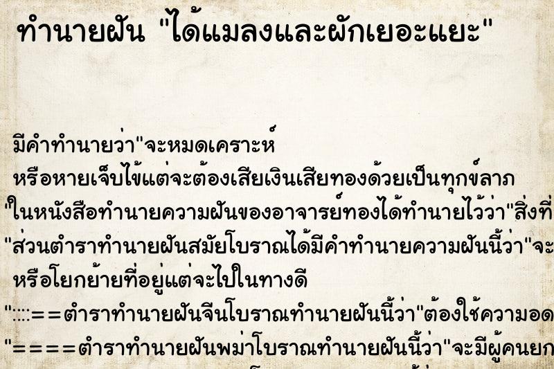 ทำนายฝัน ได้แมลงและผักเยอะแยะ ทำนายฝัน ได้แมลงและผักเยอะแยะ