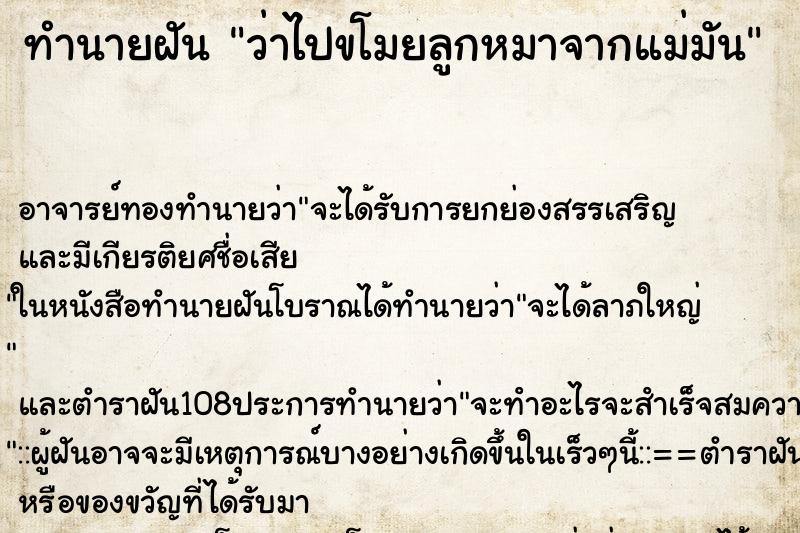 ทำนายฝันว่าไปขโมยลูกหมาจากแม่มัน ทำนายฝันทำนายฝันว่าไปขโมยลูกหมาจากแม่มัน