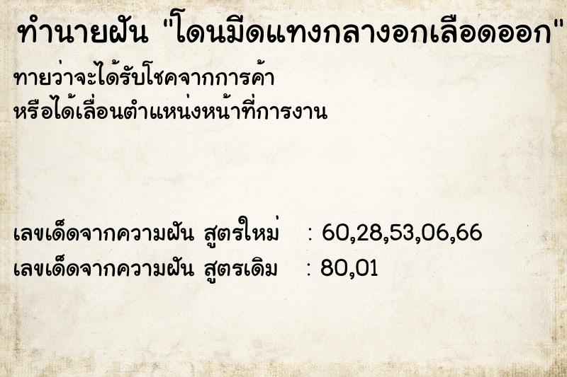 ทำนายฝันทำนายฝันโดนมีดแทงกลางอกเลือดออก