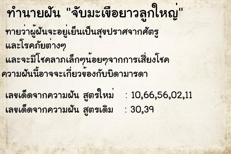 ทำนายฝันจับมะเขือยาวลูกใหญ่ ทำนายฝันทำนายฝันจับมะเขือยาวลูกใหญ่