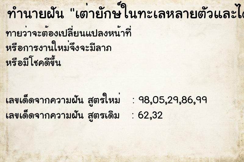 ทำนายฝันเต่ายักษ์ในทะเลหลายตัวและได้ขี่เต่ายักษ์ ทำนายฝันทำนายฝันเต่ายักษ์ในทะเลหลายตัวและได้ขี่เต่ายักษ์