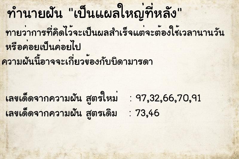 ทำนายฝันเป็นแผลใหญ่ที่หลัง ทำนายฝันทำนายฝันเป็นแผลใหญ่ที่หลัง