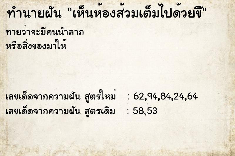 ทำนายฝันทำนายฝันเห็นห้องส้วมเต็มไปด้วยขีั