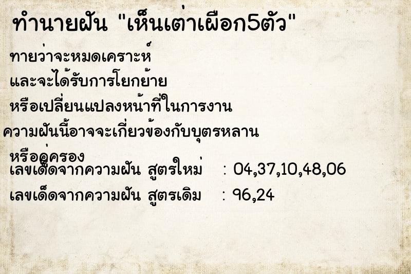 ทำนายฝันทำนายฝันเห็นเต่าเผือก5ตัว