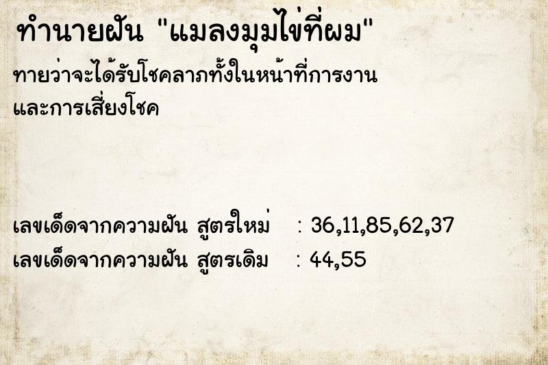 ทำนายฝันทำนายฝันแมลงมุมไข่ที่ผม