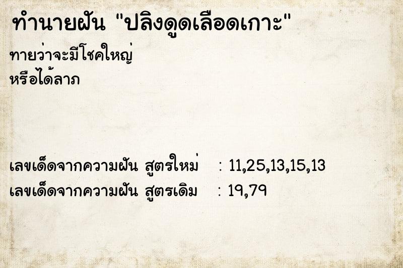 ทำนายฝันทำนายฝันปลิงดูดเลือดเกาะ