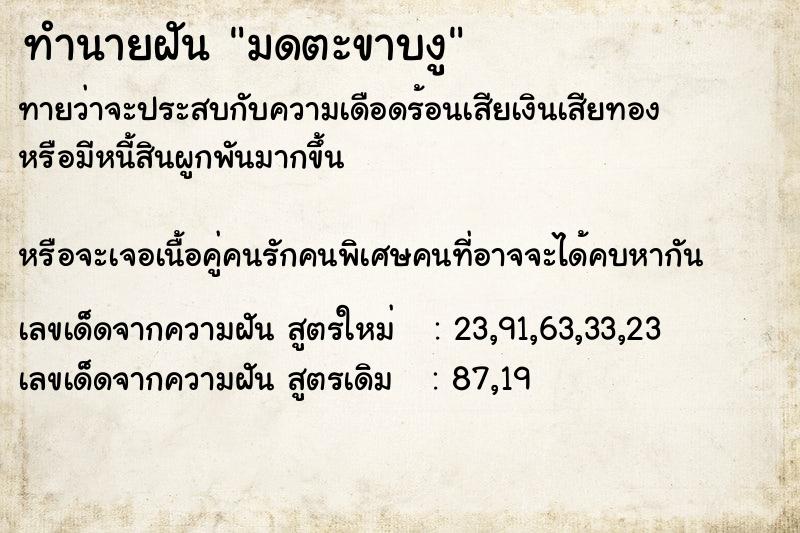 ทำนายฝัน มดตะขาบงู ทำนายฝัน มดตะขาบงู