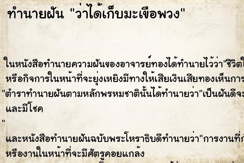 ทำนายฝัน ว่าได้เก็บมะเขือพวง ทำนายฝัน ว่าได้เก็บมะเขือพวง