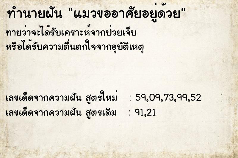 ทำนายฝันแมวขออาศัยอยู่ด้วย ทำนายฝันทำนายฝันแมวขออาศัยอยู่ด้วย