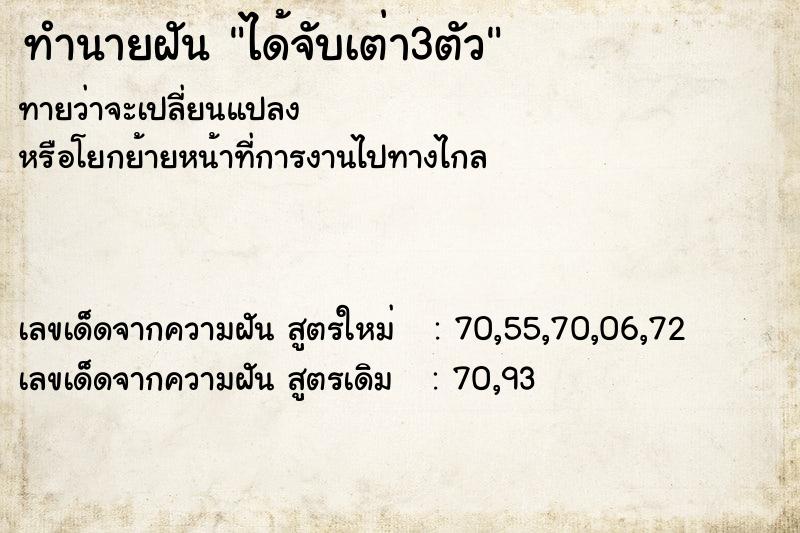 ทำนายฝันได้จับเต่า3ตัว ทำนายฝันทำนายฝันได้จับเต่า3ตัว