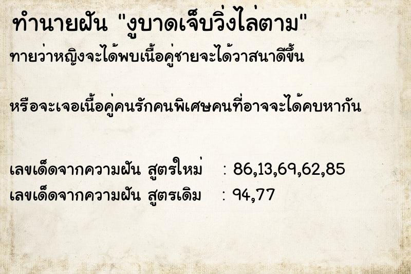 ทำนายฝันทำนายฝันงูบาดเจ็บวิ่งไล่ตาม