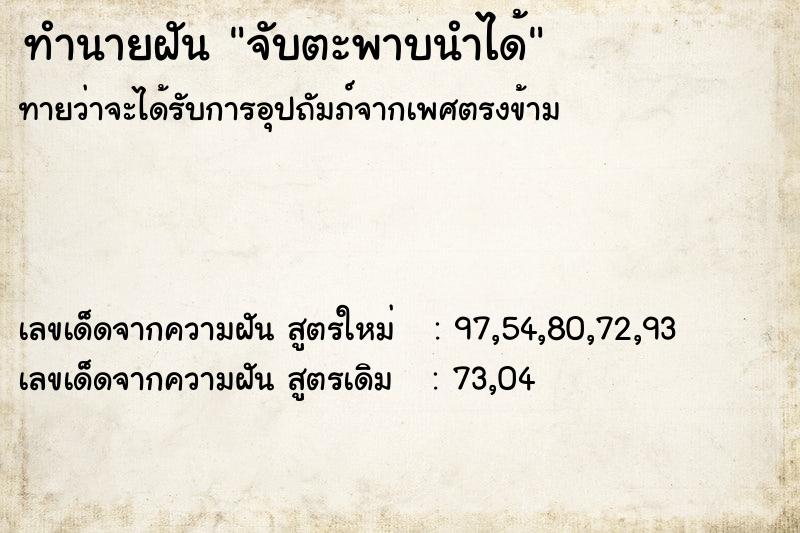 ทำนายฝัน จับตะพาบนำได้