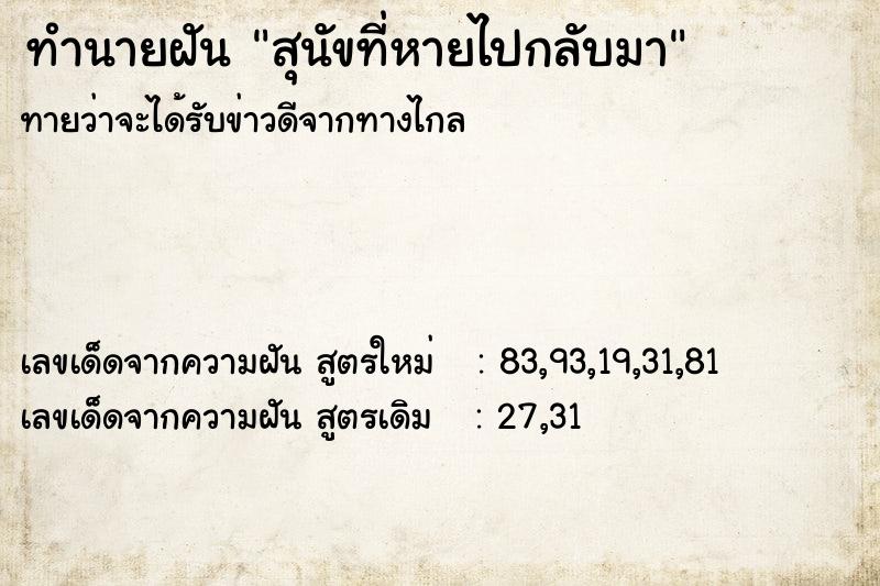 ทำนายฝันสุนัขที่หายไปกลับมา ทำนายฝันทำนายฝันสุนัขที่หายไปกลับมา