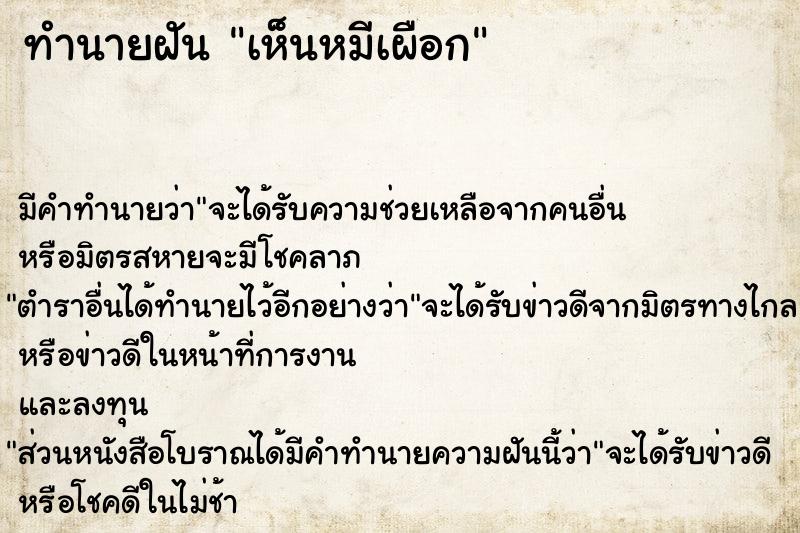 ทำนายฝัน เห็นหมีเผือก ทำนายฝัน เห็นหมีเผือก