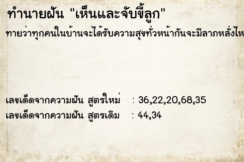 ทำนายฝันเห็นและจับขี้ลูก ทำนายฝันทำนายฝันเห็นและจับขี้ลูก