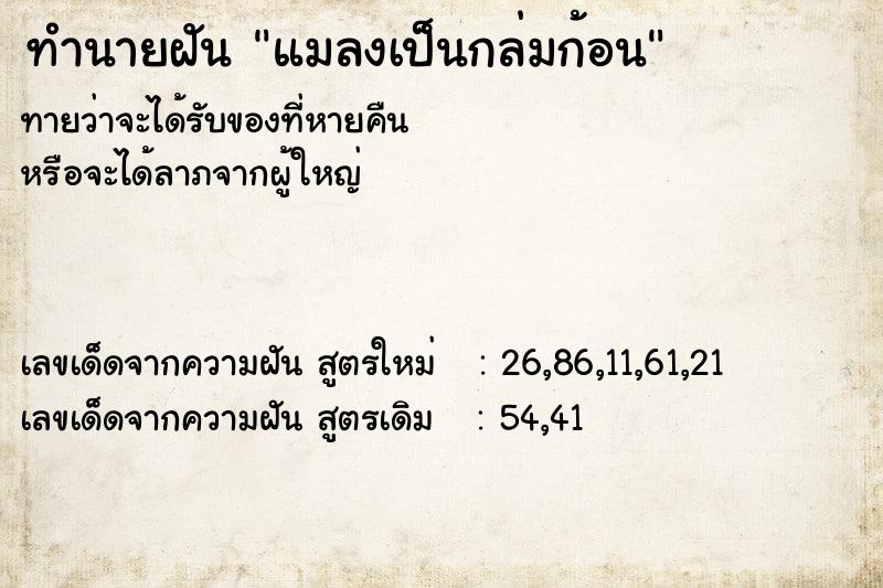 ทำนายฝันทำนายฝันแมลงเป็นกล่มก้อน