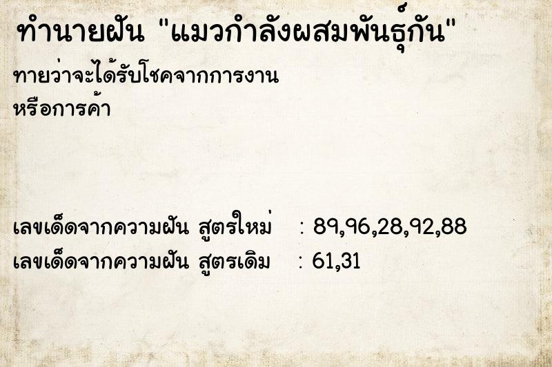 ทำนายฝันทำนายฝันแมวกำลังผสมพันธุ์กัน