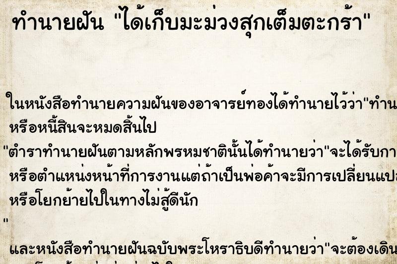 ทำนายฝัน ได้เก็บมะม่วงสุกเต็มตะกร้า
