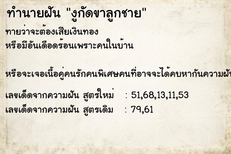 ทำนายฝัน งูกัดขาลูกชาย ทำนายฝัน งูกัดขาลูกชาย