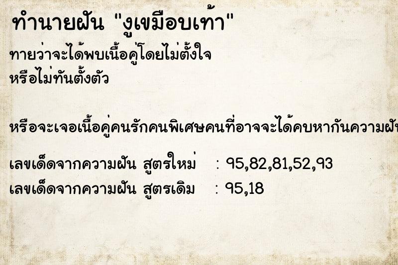 ทำนายฝันงูเขมือบเท้า ทำนายฝันทำนายฝันงูเขมือบเท้า
