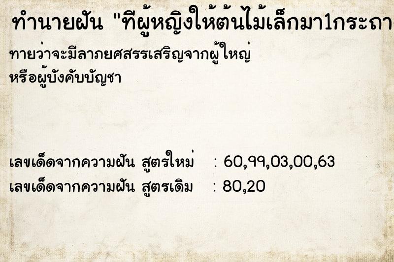 ทำนายฝันทีผู้หญิงให้ต้นไม้เล็กมา1กระถาง ทำนายฝันทำนายฝันทีผู้หญิงให้ต้นไม้เล็กมา1กระถาง