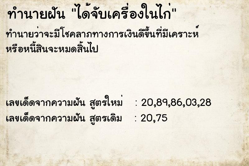 ทำนายฝันทำนายฝันได้จับเครื่องในไก่