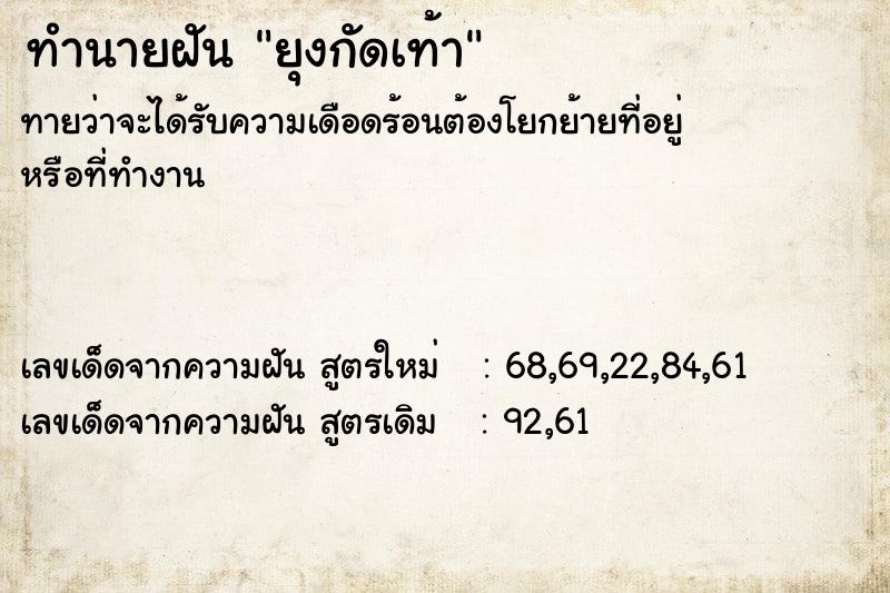 ทำนายฝันยุงกัดเท้า ทำนายฝันทำนายฝันยุงกัดเท้า