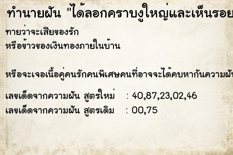 ทำนายฝันทำนายฝันได้ลอกคราบงูใหญ่และเห็นรอยเลื่อย
