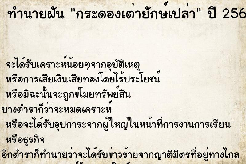 ทำนายฝันกระดองเต่ายักษ์เปล่า ทำนายฝันทำนายฝันกระดองเต่ายักษ์เปล่า