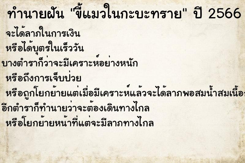 ทำนายฝัน ขี้แมวในกะบะทราย ทำนายฝัน ขี้แมวในกะบะทราย