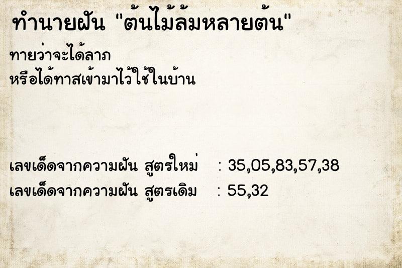 ทำนายฝันทำนายฝันต้นไม้ล้มหลายต้น