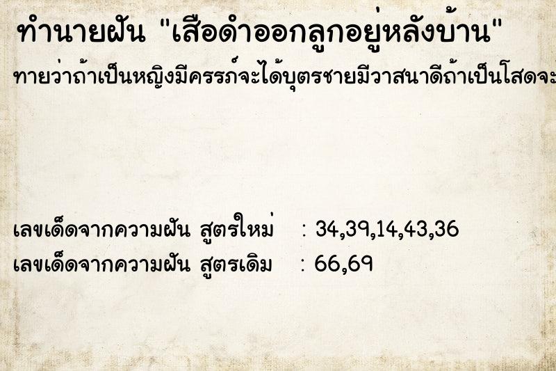 ทำนายฝันเสือดำออกลูกอยู่หลังบ้าน ทำนายฝันทำนายฝันเสือดำออกลูกอยู่หลังบ้าน