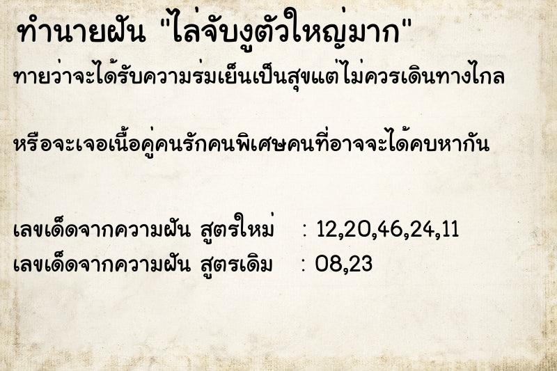 ทำนายฝันไล่จับงูตัวใหญ่มาก ทำนายฝันทำนายฝันไล่จับงูตัวใหญ่มาก