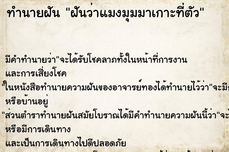 ทำนายฝันทำนายฝันฝันว่าแมงมุมมาเกาะที่ตัว