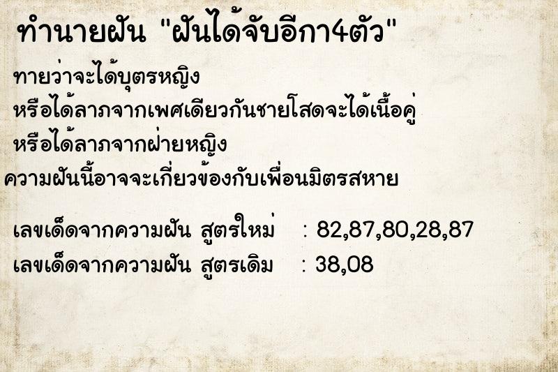 ทำนายฝันฝันได้จับอีกา4ตัว ทำนายฝันทำนายฝันฝันได้จับอีกา4ตัว