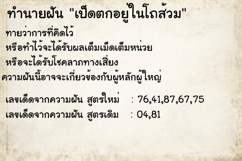 ทำนายฝันเป็ดตกอยู่ในโถส้วม ทำนายฝันทำนายฝันเป็ดตกอยู่ในโถส้วม