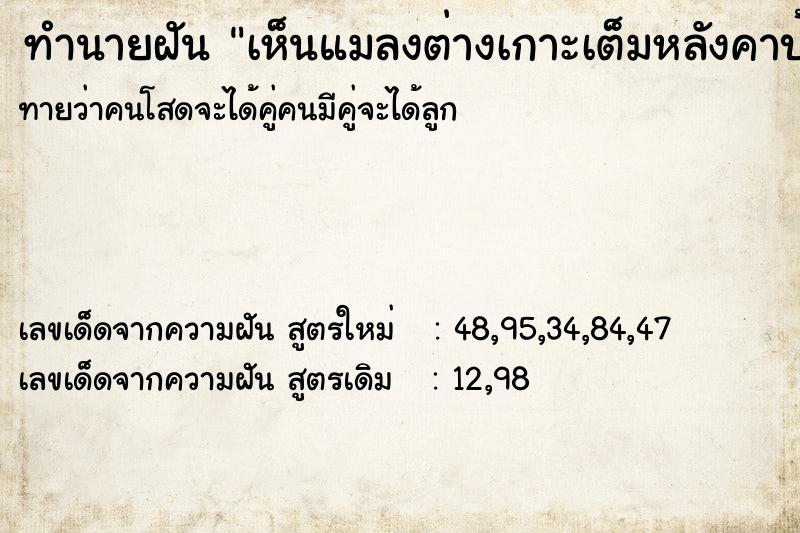 ทำนายฝันทำนายฝันเห็นแมลงต่างเกาะเต็มหลังคาบ้าน